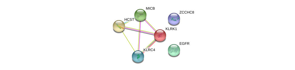 Micb Gene Genecards Micb Protein Micb Antibody