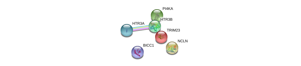 Htr3b Gene Genecards 5ht3b Protein 5ht3b Antibody