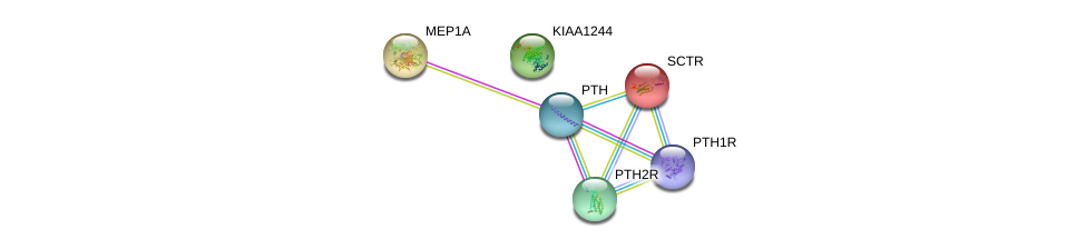 Pth Gene Genecards Pthy Protein Pthy Antibody