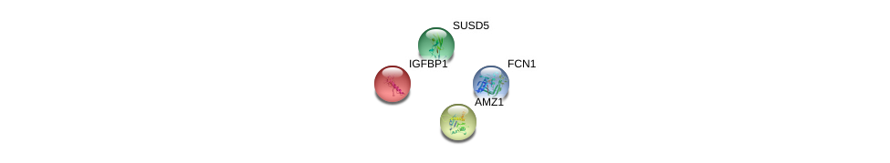 SUSD5 Gene - GeneCards | SUSD5 Protein | SUSD5 Antibody